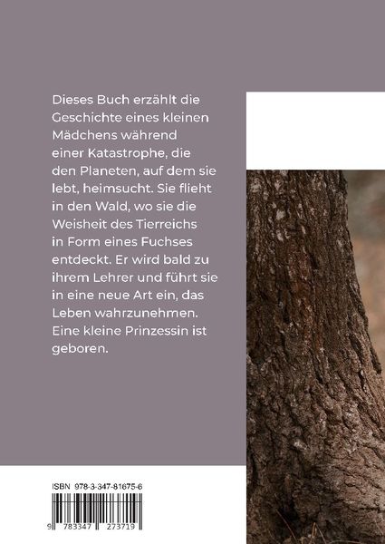 Produktbild: Die Kleine Prinzessin