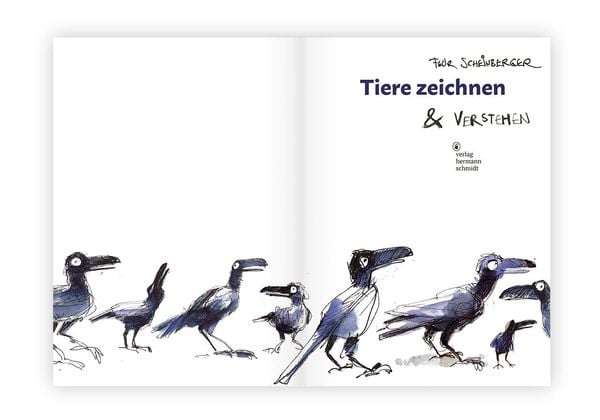 Produktbild: Tiere zeichnen und verstehen