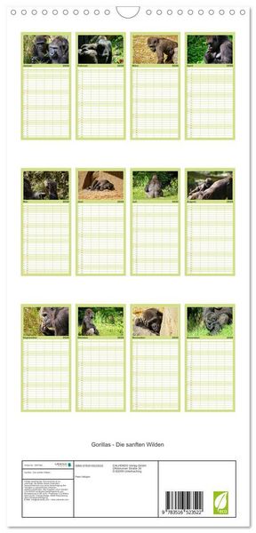 Produktbild: Familienplaner 2026 - Gorillas - Die sanften Wilden mit 5 Spalten (Wandkalender, 21 x 45 cm) CALVENDO