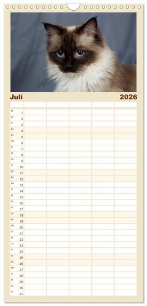 Produktbild: Familienplaner 2026 - Ragdolls mit 5 Spalten (Wandkalender, 21 x 45 cm) CALVENDO