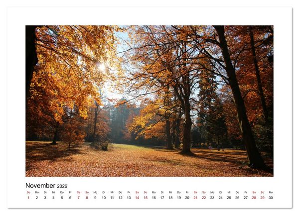 Produktbild: Zauberhafte Landschaften im Odenwald (Wandkalender 2026 DIN A3 quer), CALVENDO Monatskalender