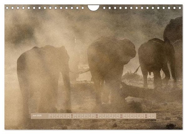 Produktbild: Afrikas Tierwelt - Wilde Elefanten (Wandkalender 2026 DIN A4 quer), CALVENDO Monatskalender
