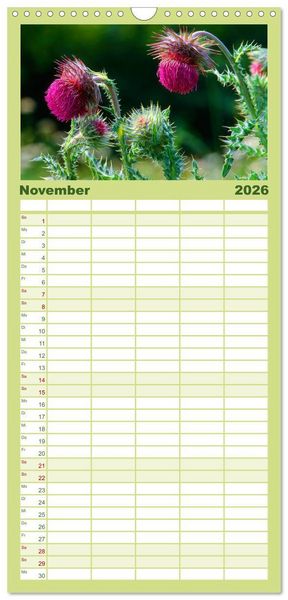 Produktbild: Familienplaner 2026 - Wildblumen 2026 mit 5 Spalten (Wandkalender, 21 x 45 cm) CALVENDO