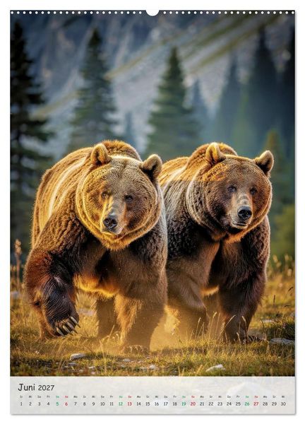 Produktbild: Grizzlyb&auml;ren und Lachse (hochwertiger Premium Wandkalender 2027 DIN A2 hoch), Kunstdruck in Hochglanz