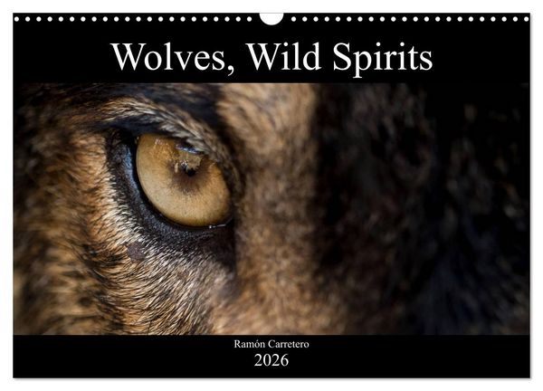 Produktbild: Wolves, Wild Spirits (Wall Calendar 2026 DIN A3 landscape), CALVENDO 12 Month Wall Calendar