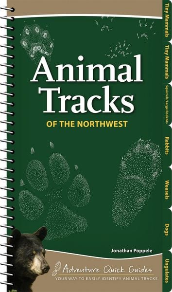 Produktbild: Animal Tracks of the Northwest