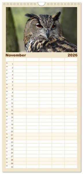 Produktbild: Familienplaner 2026 - Eulen. Gefiederte Weisheit mit 5 Spalten (Wandkalender, 21 x 45 cm) CALVENDO