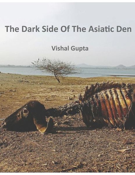 Produktbild: The Dark Side of the Asiatic Den