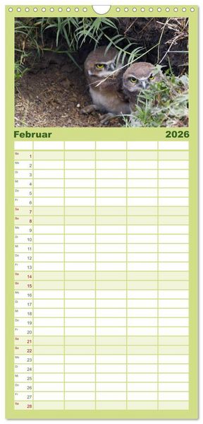 Produktbild: Familienplaner 2026 - Eulen. W&auml;chter der Nacht mit 5 Spalten (Wandkalender, 21 x 45 cm) CALVENDO