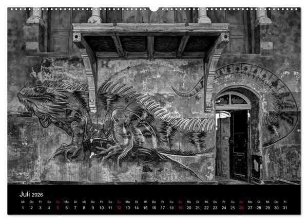 Produktbild: lost beauty (Wandkalender 2026 DIN A2 quer), CALVENDO Monatskalender