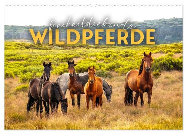 Produktbild: Freiheitsliebende Wildpferde (Wandkalender 2026 DIN A2 quer), CALVENDO Monatskalender