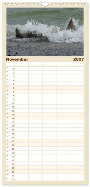 Produktbild: Familienplaner 2027 - Das Leben der Robben mit 5 Spalten (Wandkalender, 21 x 45 cm) CALVENDO