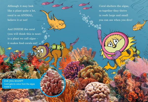 Produktbild: What Humming-Fish Wish