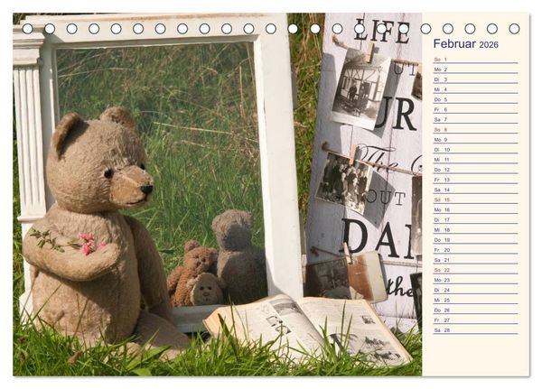 Produktbild: Geliebte B&auml;ren - Teddys (Tischkalender 2026 DIN A5 quer), CALVENDO Monatskalender