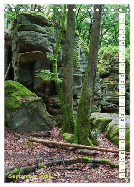 Produktbild: EIFEL - Kraftorte Wald und Wasser (Tischkalender 2026 DIN A5 hoch), CALVENDO Monatskalender