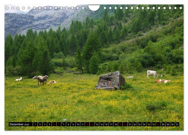 Produktbild: Sulden - S&uuml;dtiroler Bergdorf am Fu&szlig;e des Ortlers (Wandkalender 2026 DIN A4 quer), CALVENDO Monatskalender