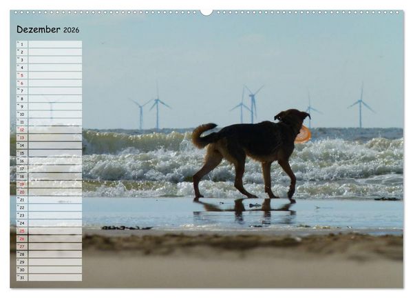 Produktbild: Egmond aan Zee (Wandkalender 2026 DIN A2 quer), CALVENDO Monatskalender
