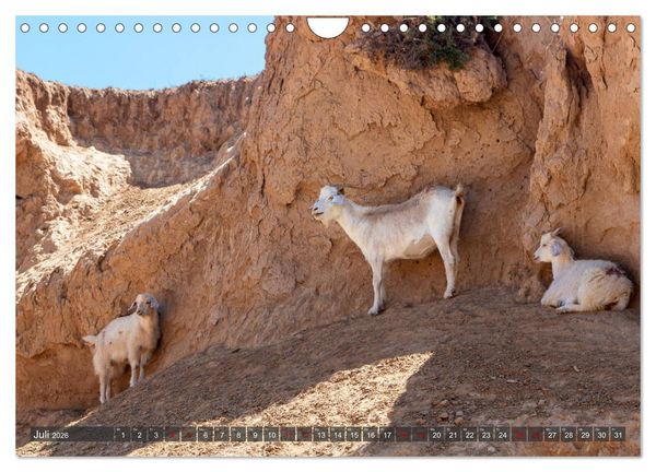 Produktbild: Kasachstan und Kirgistan (Wandkalender 2026 DIN A4 quer), CALVENDO Monatskalender