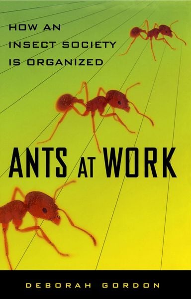 Produktbild: Ants at Work