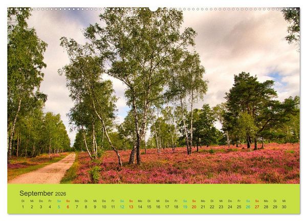 Produktbild: Die Heide bl&uuml;ht (hochwertiger Premium Wandkalender 2026 DIN A2 quer), Kunstdruck in Hochglanz