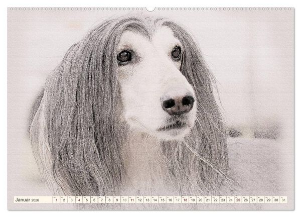 Produktbild: Windhunde 2026 (hochwertiger Premium Wandkalender 2026 DIN A2 quer), Kunstdruck in Hochglanz