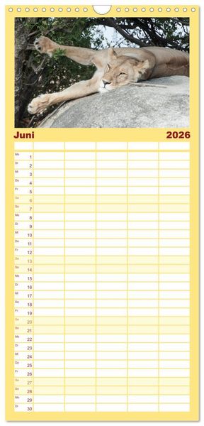 Produktbild: Familienplaner 2026 - Die Magie der K&ouml;nige der Tiere mit 5 Spalten (Wandkalender, 21 x 45 cm) CALVENDO