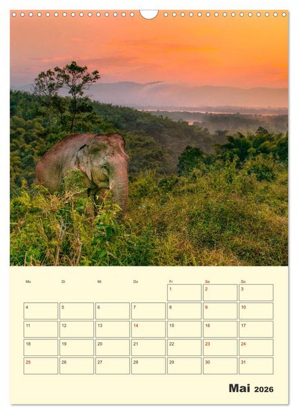 Produktbild: ELEFANTEN - Asiens graue Riesen (Wandkalender 2026 DIN A3 hoch), CALVENDO Monatskalender