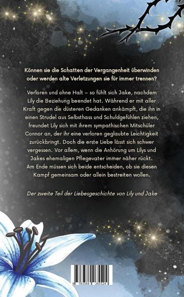 Produktbild: Haltlos - Lily und Jake