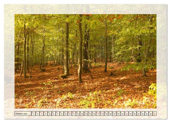 Produktbild: Jeden Monat in der Natur (Tischkalender 2026 DIN A5 quer), CALVENDO Monatskalender