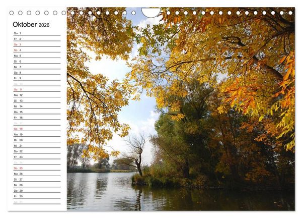 Produktbild: Die Jahreszeiten im Havelland (Wandkalender 2026 DIN A4 quer), CALVENDO Monatskalender
