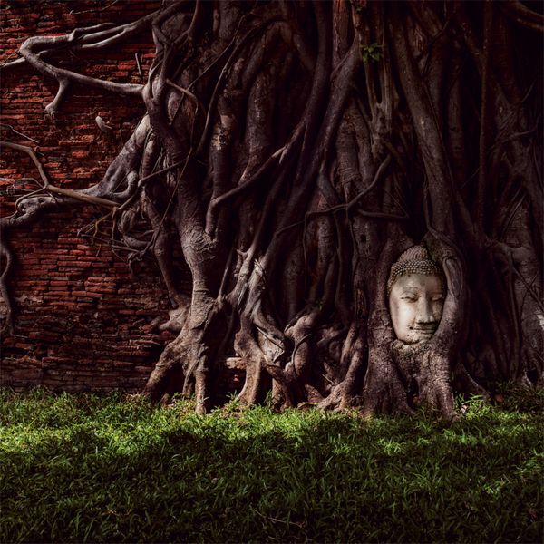 Produktbild: Buddhas Smile  2023