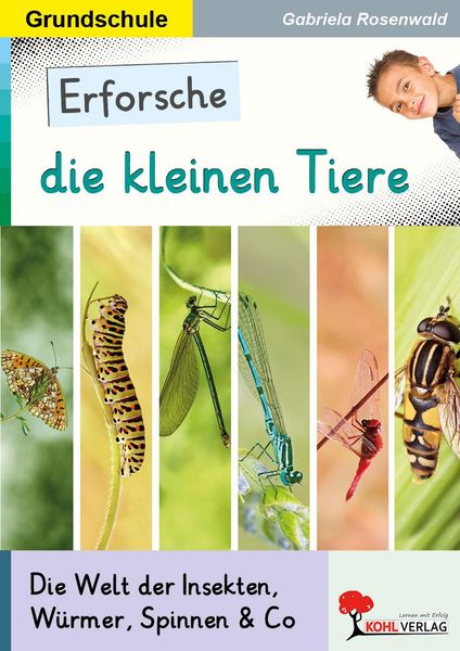 Produktbild: Erforsche die kleinen Tiere