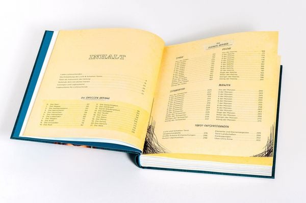 Produktbild: Licht und Schatten Tarot &ndash; Das Buch
