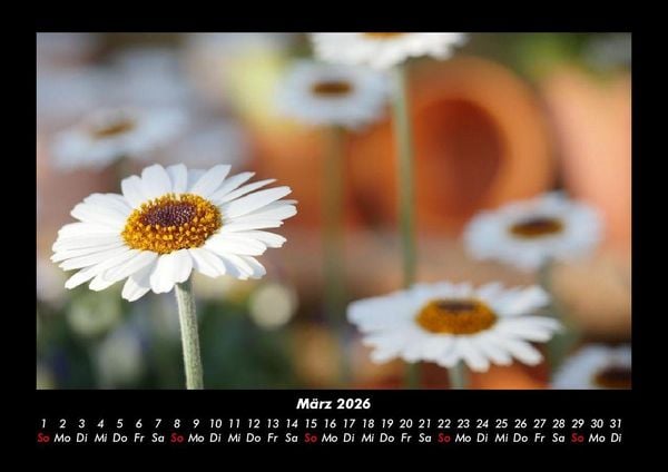 Produktbild: Blumenkalender 2026 Fotokalender DIN A3