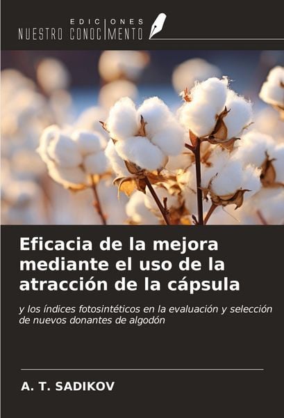 Produktbild: Eficacia de la mejora mediante el uso de la atracci&oacute;n de la c&aacute;psula