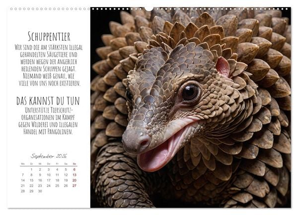 Produktbild: Wir sind die Letzten hier! Wir sterben aus. Wie du uns helfen kannst! (hochwertiger Premium Wandkalender 2026 DIN A2 quer), Kunstdruck in Hochglanz