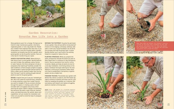 Produktbild: The Gravel Garden
