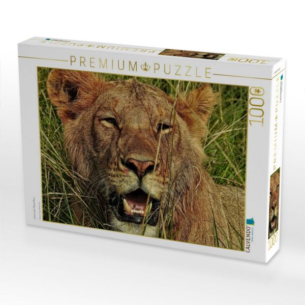 Produktbild: CALVENDO Puzzle L&ouml;we in der Masai Mara | 1000 Teile Lege-Gr&ouml;&szlig;e 64x48cm Foto-Puzzle f&uuml;r gl&uuml;ckliche Stunden