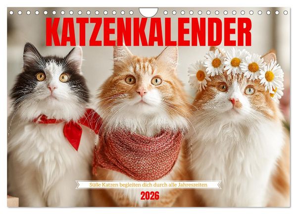Katzenkalender - Süße Katzen begleiten dich durch alle Jahreszeiten (Wandkalender 2026 DIN A4 quer), CALVENDO Monatskalender