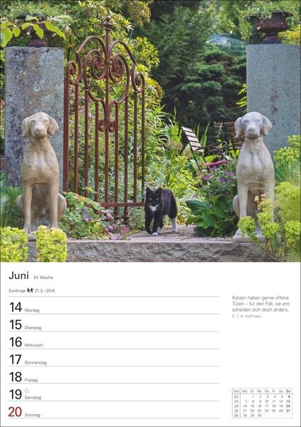 Produktbild: Katzen Wochenplaner 2027 - 53 faszinierende Fotografien