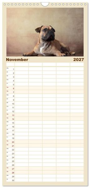 Produktbild: Familienplaner 2027 - Charme auf vier Pfoten - Franz&ouml;sische Bulldoggen Portraits mit 5 Spalten (Wandkalender, 21 x 45 cm) CALVENDO