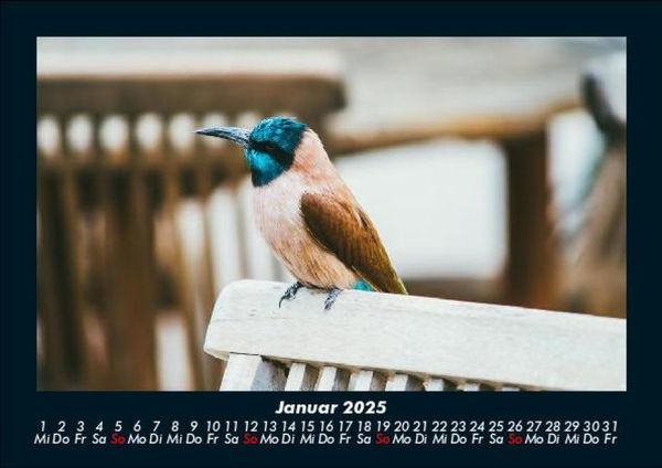 Produktbild: Tierkalender 2025 Fotokalender DIN A5