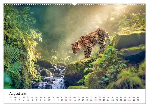 Produktbild: Gefleckte Schatten - Im Bann der Leoparden (Wandkalender 2027 DIN A2 quer), CALVENDO Monatskalender