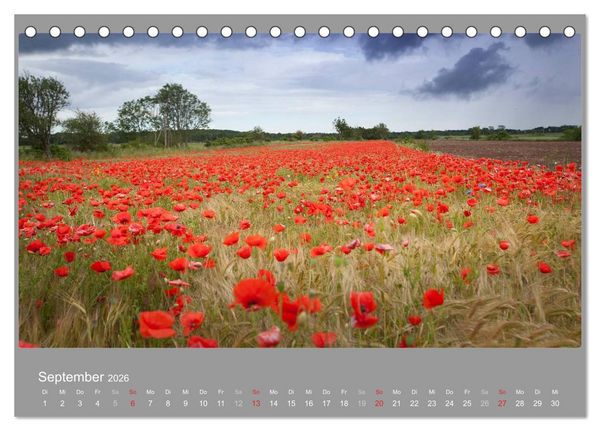 Produktbild: &Ouml;LAND - Besuch im etwas anderen Schweden 2026 (Tischkalender 2026 DIN A5 quer), CALVENDO Monatskalender