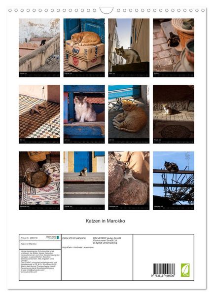 Produktbild: Katzen in Marokko (Wandkalender 2026 DIN A3 hoch), CALVENDO Monatskalender