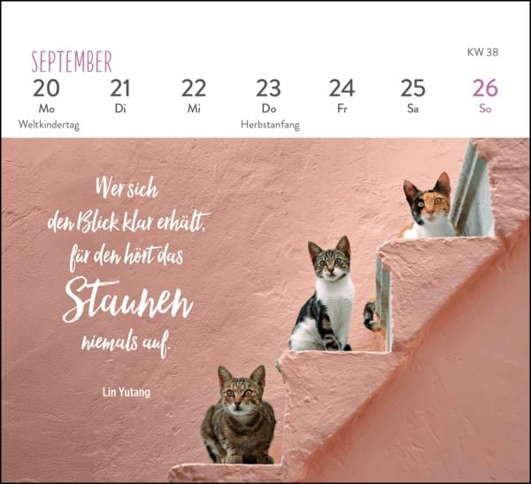 Produktbild: Mini-Wochenkalender 2027: F&uuml;r Katzenfreunde