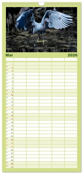 Produktbild: Familienplaner 2026 - Blaureiher und Dreifarbenreiher mit 5 Spalten (Wandkalender, 21 x 45 cm) CALVENDO
