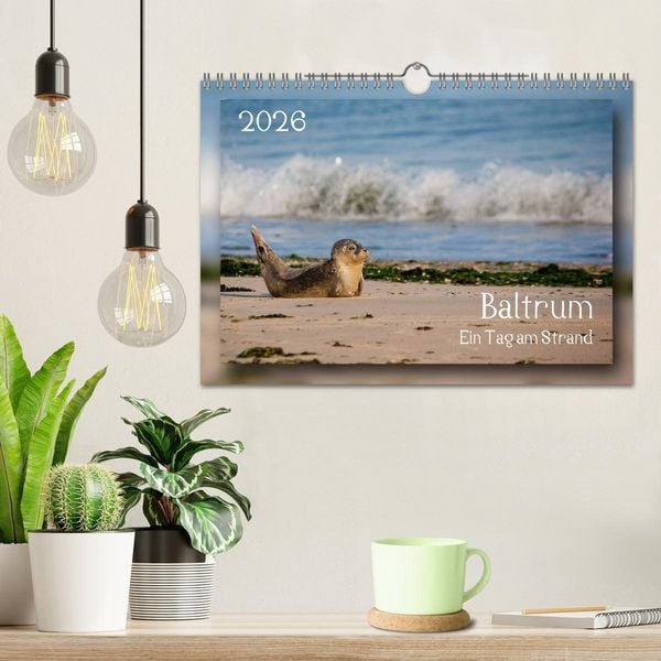 Produktbild: Baltrum - Ein Tag am Strand (Wandkalender 2026 DIN A4 quer), CALVENDO Monatskalender