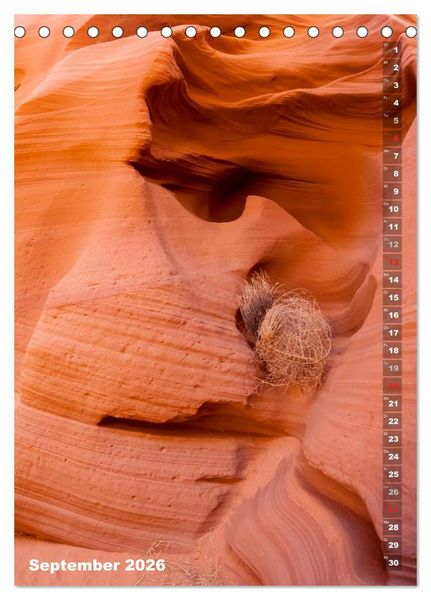 Produktbild: Antelope Canyon &ndash; Einzigartiges Naturschauspiel (Tischkalender 2026 DIN A5 hoch), CALVENDO Monatskalender