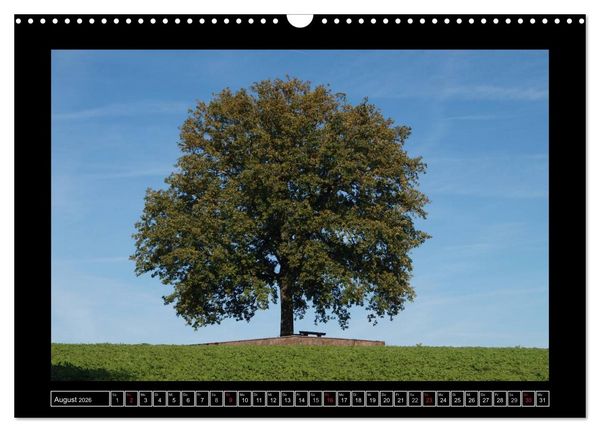Produktbild: Odenwald - Landschaft sehen (Wandkalender 2026 DIN A3 quer), CALVENDO Monatskalender